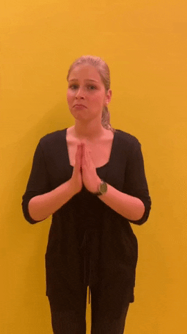 MediaShop GIF