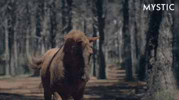 Running Late Bbc GIF by Mystic