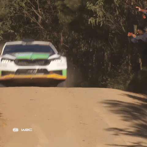 Jump Send It GIF by FIA World Rally Championship
