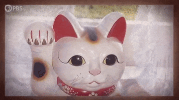 Cats Good Luck GIF by PBS Digital Studios