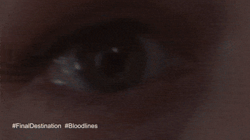 Warner Bros Wb GIF by Warner Bros. Pictures