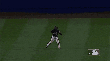 Ny Mets Win GIF by New York Mets