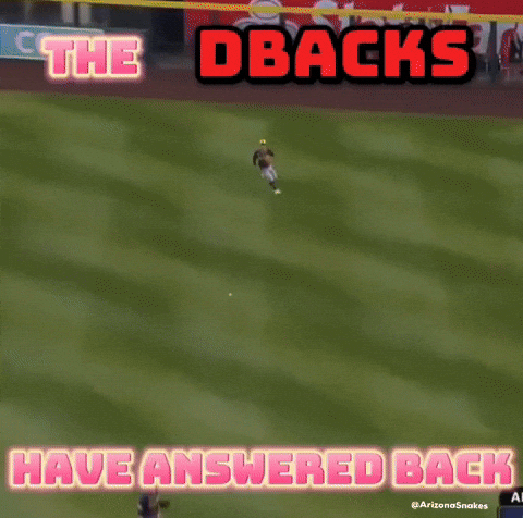 Baseball Arizona GIF