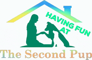 Thesecondpup GIF