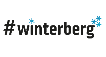 Snow Winter Sticker by Ferienwelt Winterberg