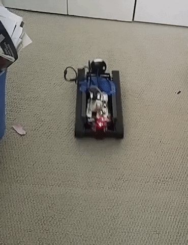 Animated GIF