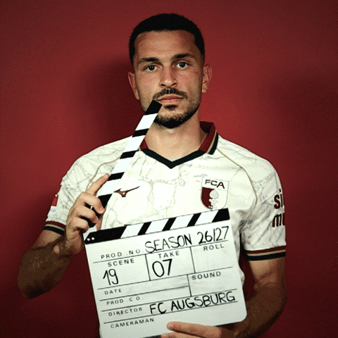 Bundesliga Ibrahimovic GIF by FC Augsburg 1907