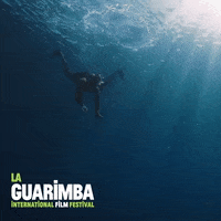 Under Water Swimming GIF by La Guarimba Film Festival