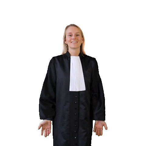 Openbaar Ministerie Sticker