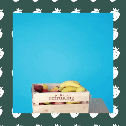 GIF by refruiting