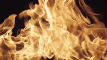 Roynaufal GIF