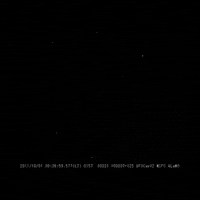 black and white wow GIF