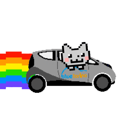Cat Rainbow Sticker by Bluetorino