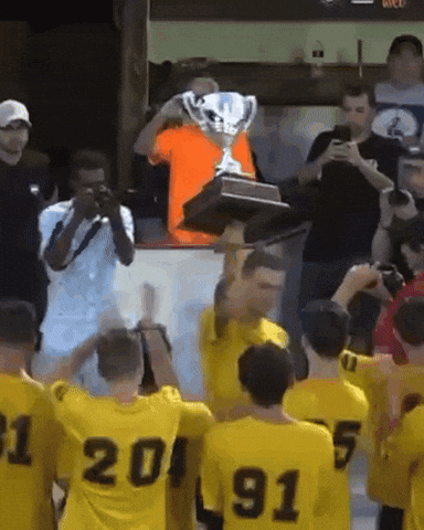 Ball Hockey GIF by USABH_giphy