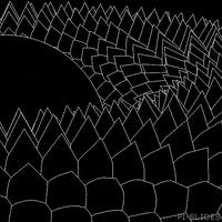 Black And White Loop GIF by Pi-Slices