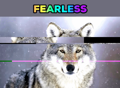 fearlessness meme gif