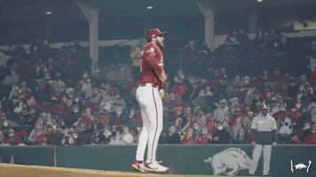 Lets Go Baseball GIF by Arkansas Razorbacks