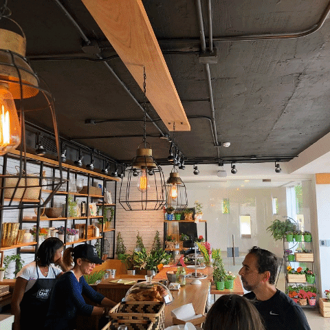 Cafecitos GIF