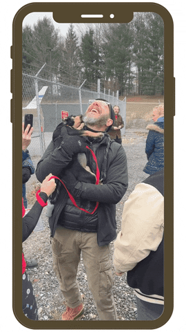 The Sato Project GIF