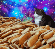 Hot Dog Cat GIF