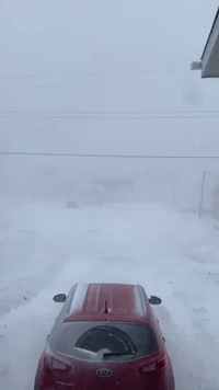 Snow Squalls Whip Through West Newfoundland After Hitting US Northeast