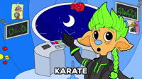 aribari karate