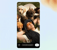 Animated GIF
