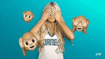 Happy Honey Bees GIF by Charlotte Hornets