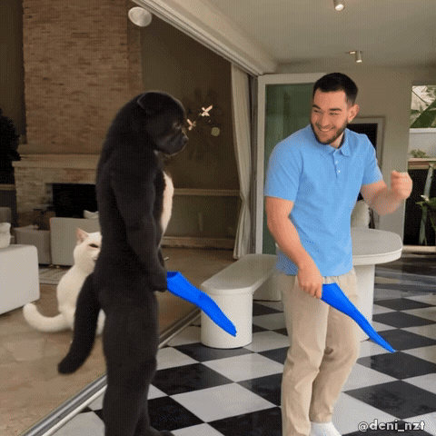 Take That Dog GIF