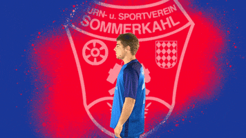 Football Lineup GIF by TuS Sommerkahl
