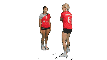 TB/ASV Regenstauf Sticker