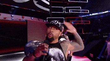 Hold On Seriously GIF by WWE