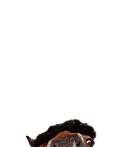 Are You There Hello Sticker by hooved