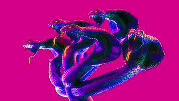 snake hydra GIF by DOMCAKE
