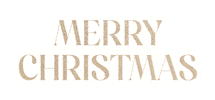 Merrychristmas Sticker by idealworld
