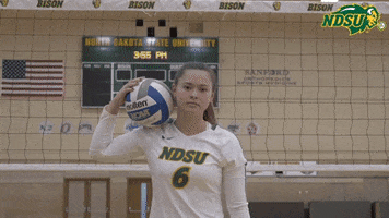 Volleyball Bison GIF by NDSU Athletics