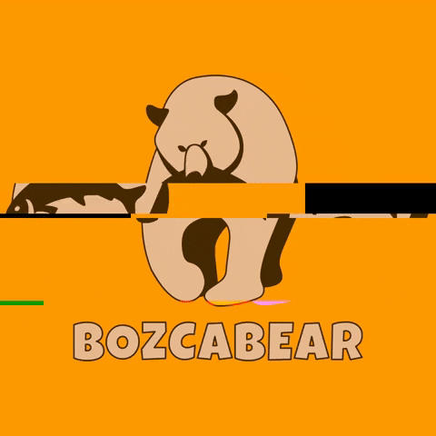 BozcaBear GIF