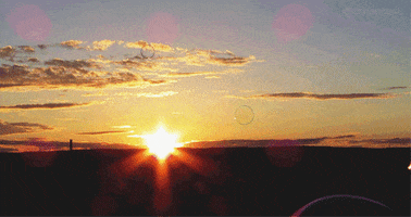 sunset bubbles GIF