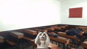 Neeraj Davian GIF