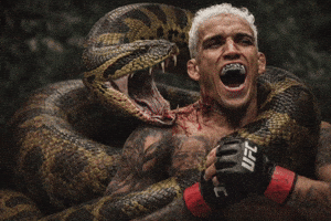 Charles Oliveira Ufc GIF