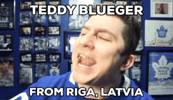 Toronto Maple Leafs Nhl GIF