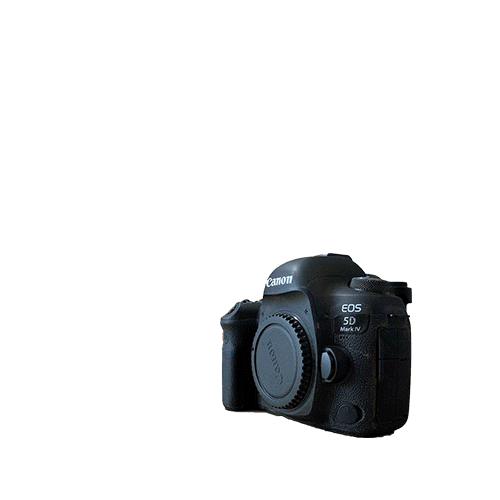 Video Sticker