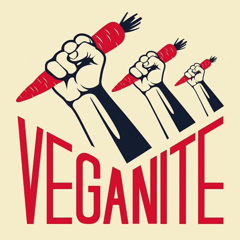 VEGAN_FEST_CATALUNYA vegan vegano veganlife veganos GIF