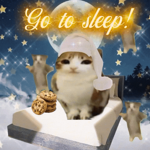 Night Sleep GIF