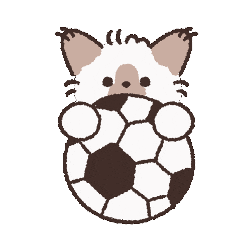 Soccer Ok Sticker by koimoffee