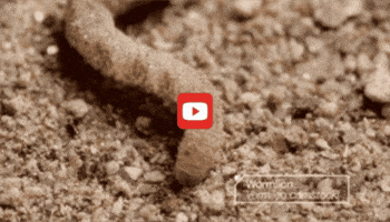 GIF by KQEDScience