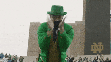 Notre Dame Ireland GIF by Notre Dame Fighting Irish