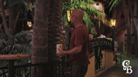 Palm Tree GIF by Casa Bonita - Find & Share on GIPHY