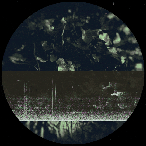 Mixed Media Art GIF by Robert Matejcek