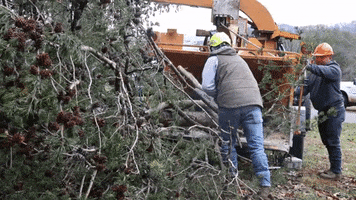 Chainsaw Heavy Equipment GIF by JC Property Professionals